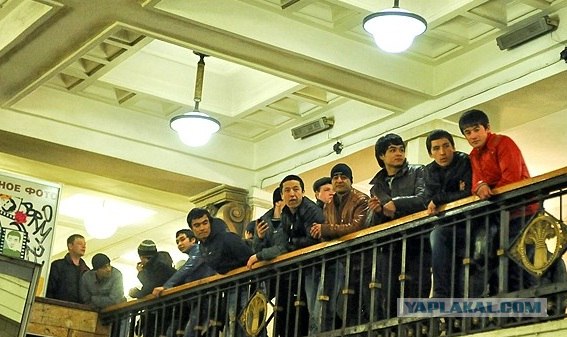 Москвичи, вы лишние на этом празднике жизни