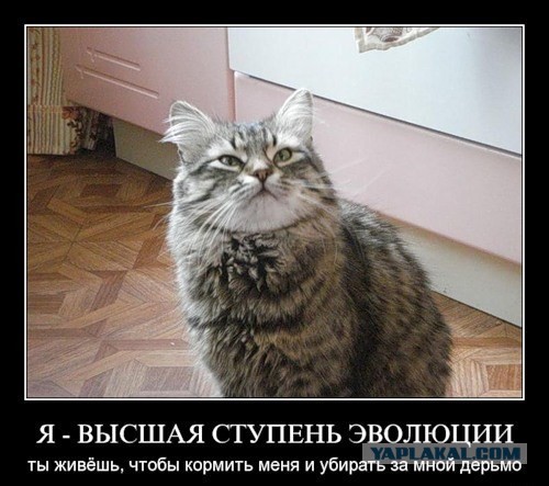Многие женщины стали пытаться вернуть своих бывших, от которых сами же и уходили
