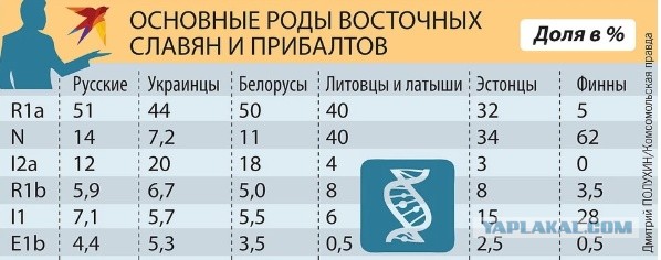 Раскрыта тайна происхождения русского народа