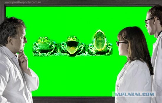 Фотожаба: Что увидели врачи?