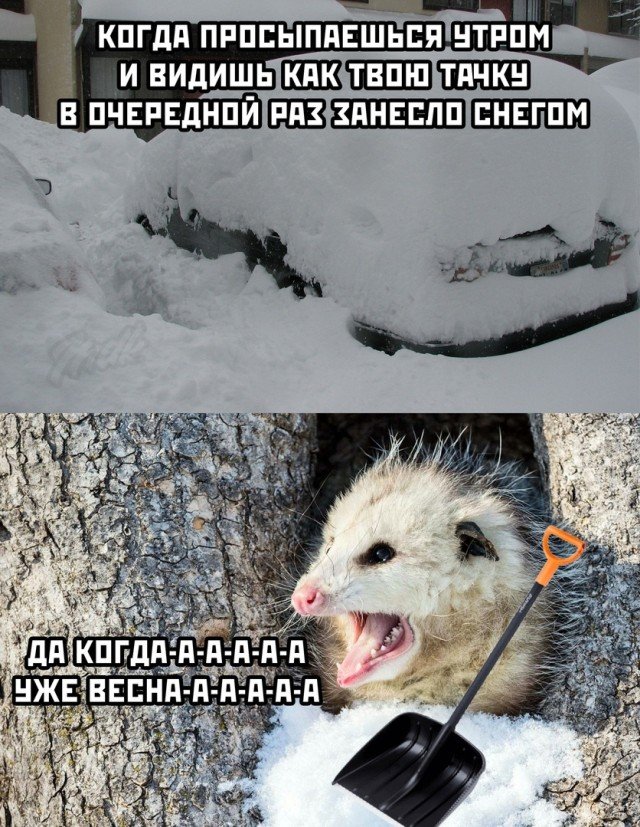 Картинки и мемы для настроения 005