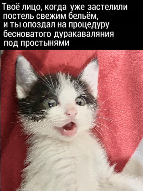 Картинки с надписями и всякие жизненные фразы 25.05.21