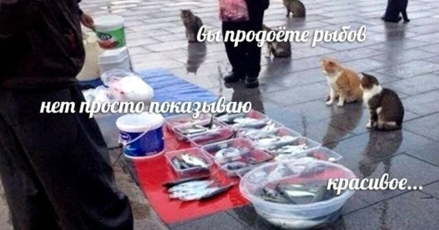 Пандемия. Коронавирус. Россия и мир. Последняя информация. Часть 24