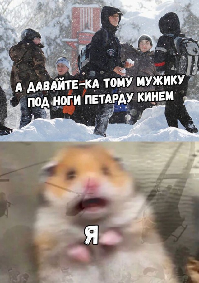 Подеградируем, побаяним...