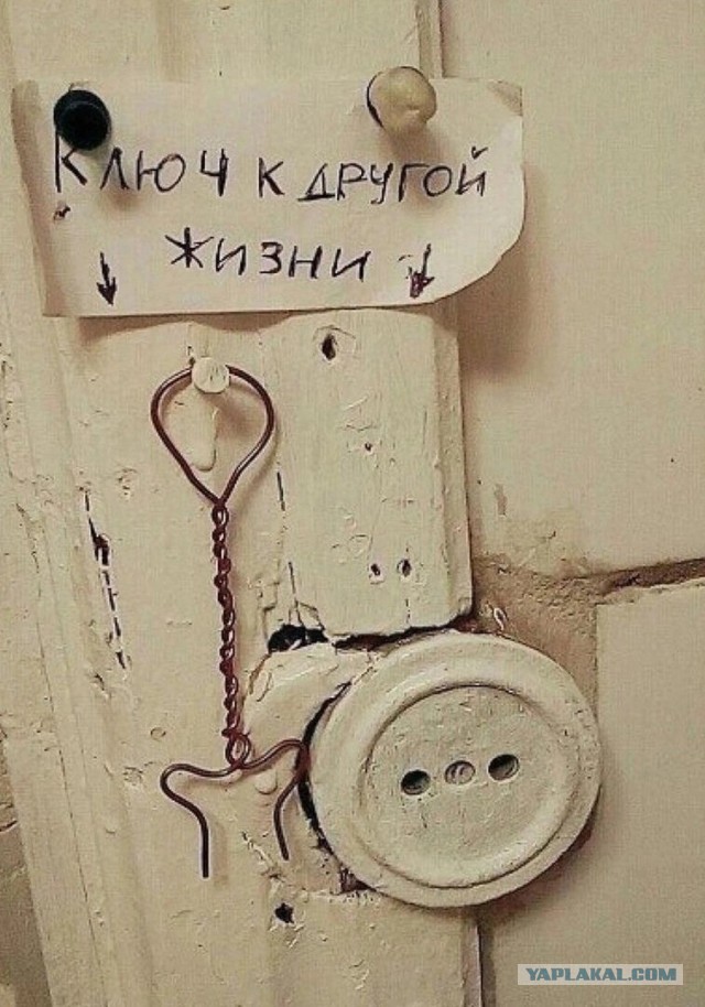Картинки обо всём 04.02.22