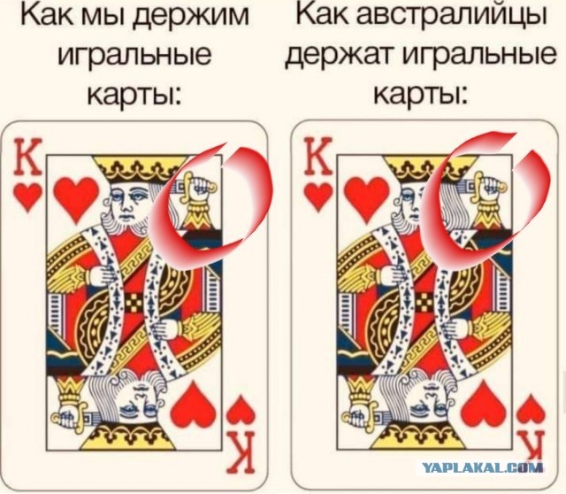 Так себе картинки 15.05.22