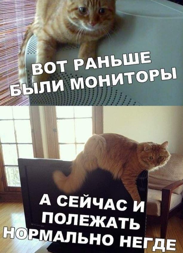Немного картинок для настроения - 127