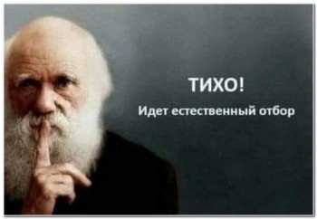 Чувствуется какая-то недосказанность