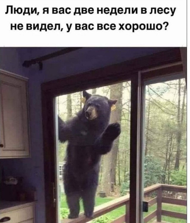 Картинки и мемы, всем хороших выходных