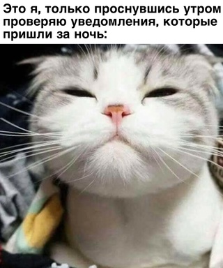 Картинки и мемы для настроения - 181