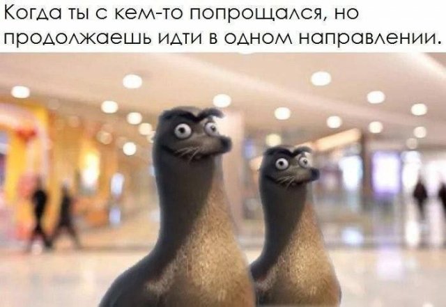 Картинки и мемы, всяко разно - 185