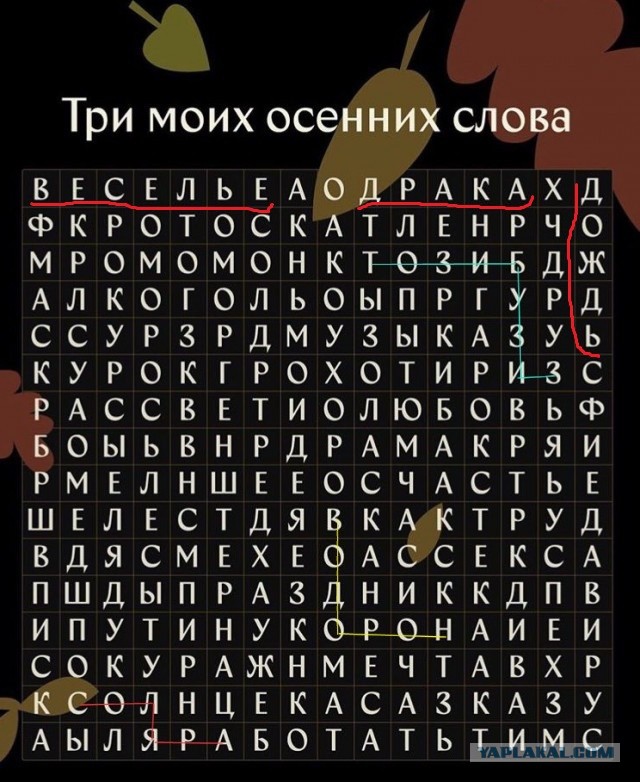 Весёлый полтишок 26.10.23