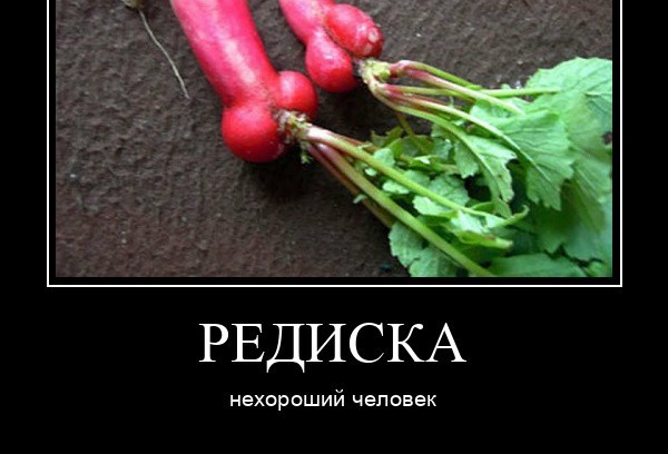 Молодой Наполеон. Ч.3⁠⁠