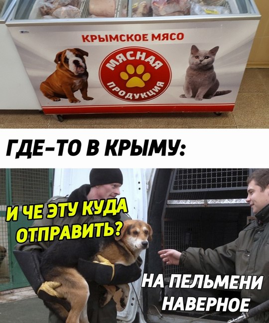 Веселые картинки