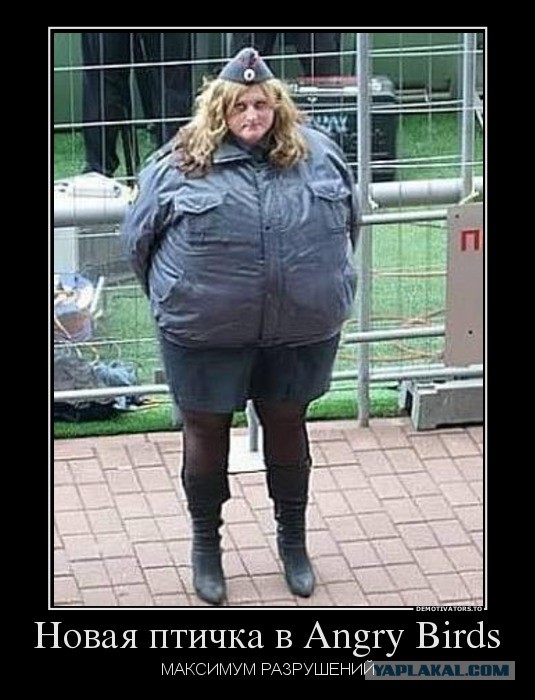 Все по местам! Заступить на дежурство!