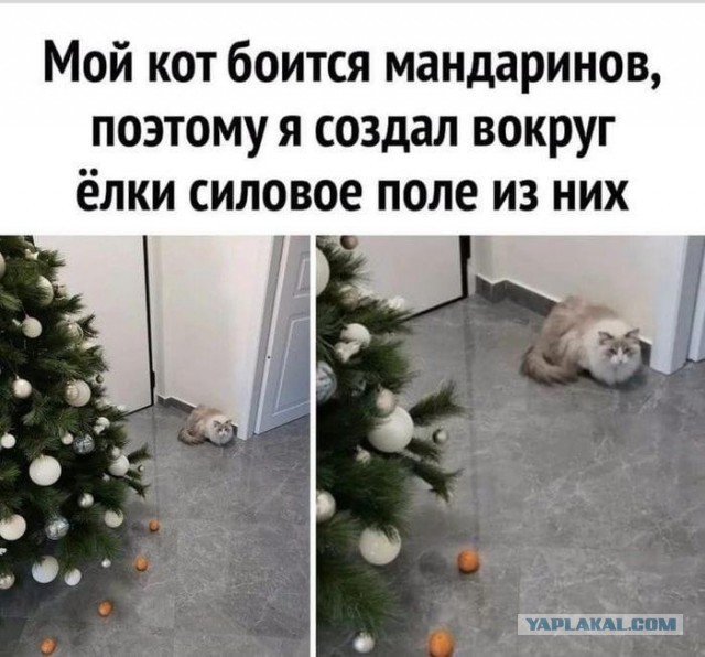 Завалялось тут случайно немного забавных картинок