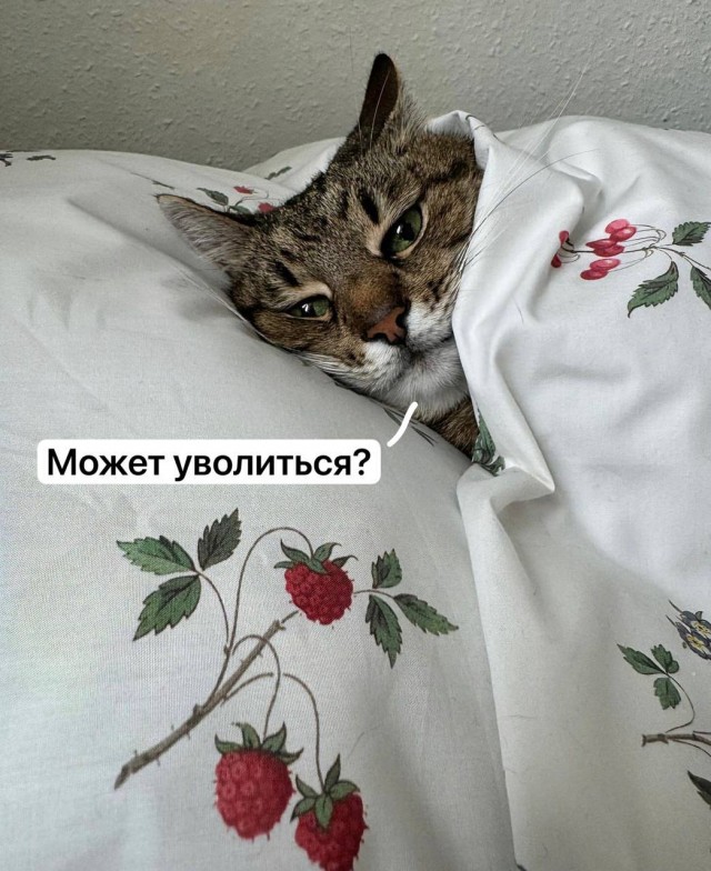 Весёлые картинки