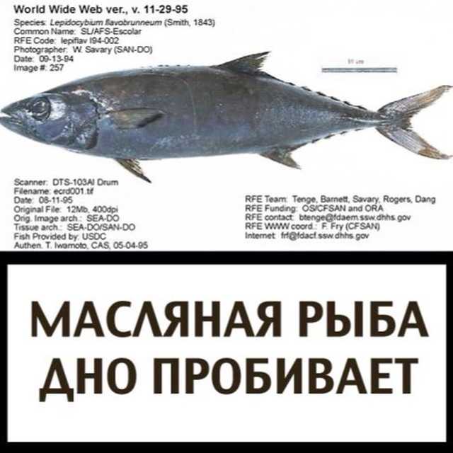 Рыба,которую при СССР хозяйки спокойно покупали килограммами и она стоила меньше рубля,а сейчас стала недоступным деликатесом.