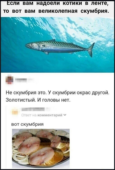 Так себе картинки 31.03.25