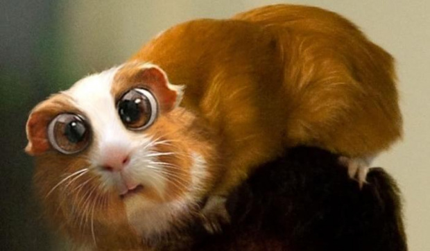 Я не косая, я раскосая