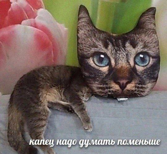 Небаянистая деградация 7