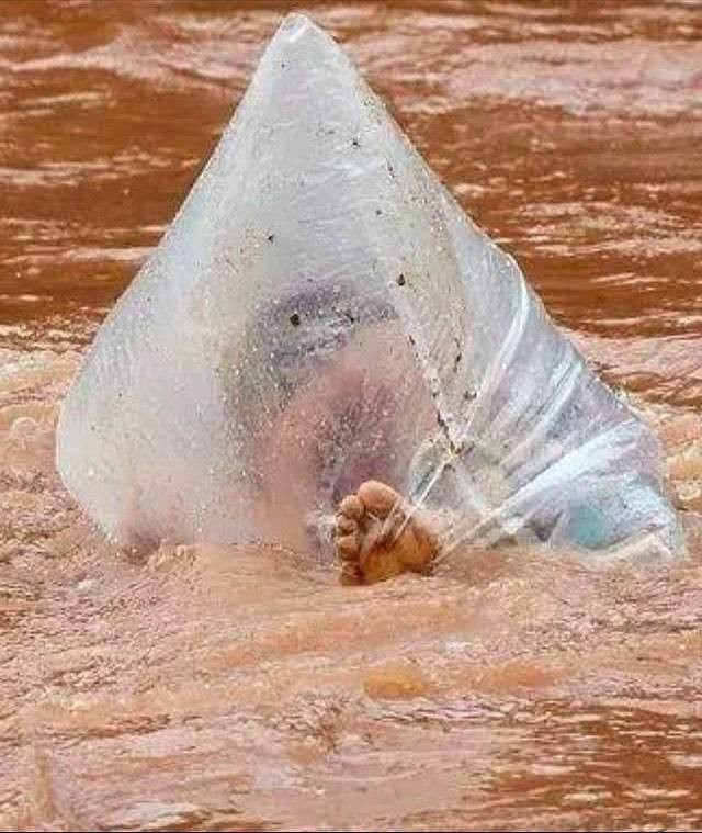 Во Вьетнаме родители отправляют своих детей в школу в полиэтиленовых пакетах