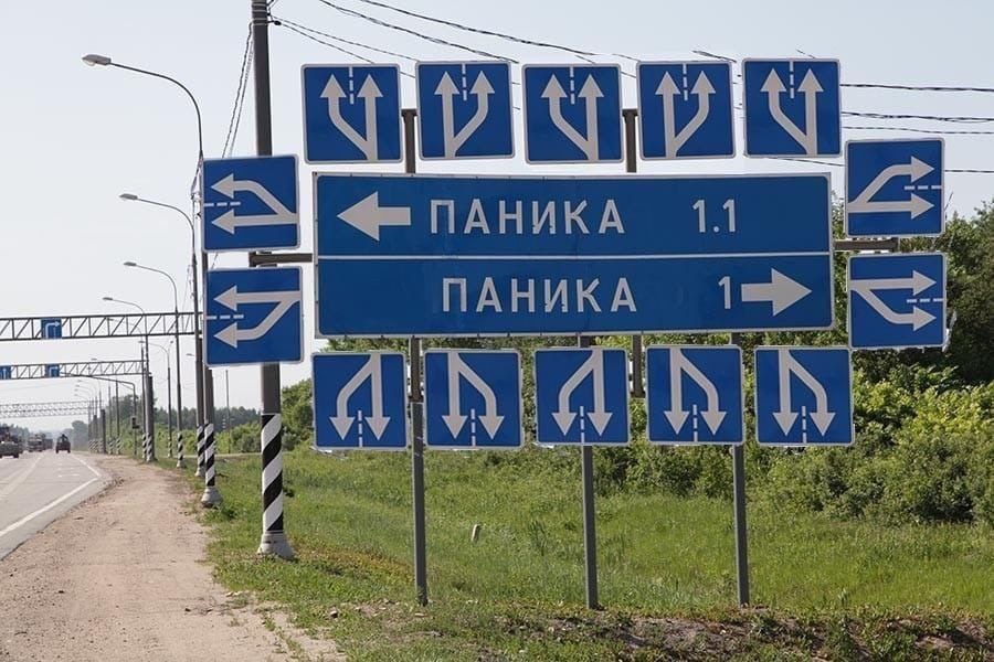 20729303.jpg