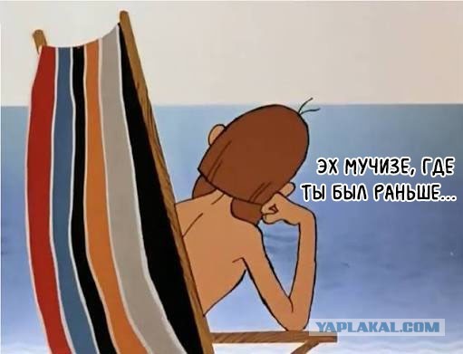 В Турции кот 45 минут отбивался от четырёх грабителей и не пустил их в квартиру
