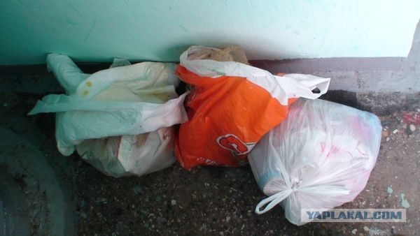 Ураза-байрам 2013