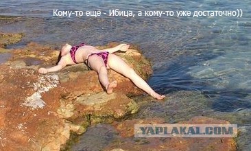 8 дней на Ибице...