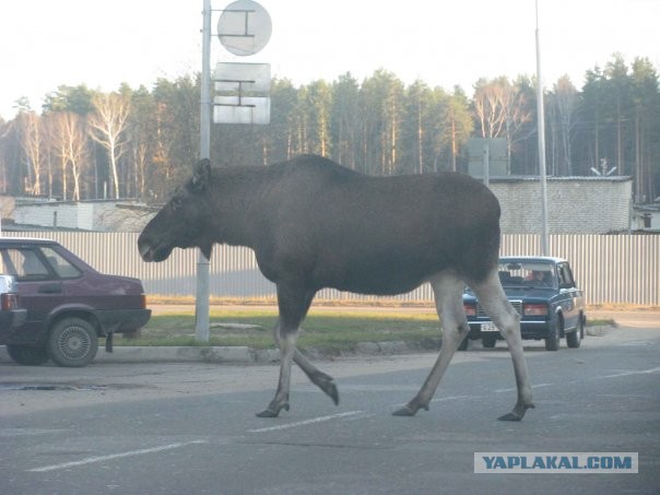 Мама с детьми на детской площадке