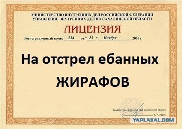 Четверо кавказцев...