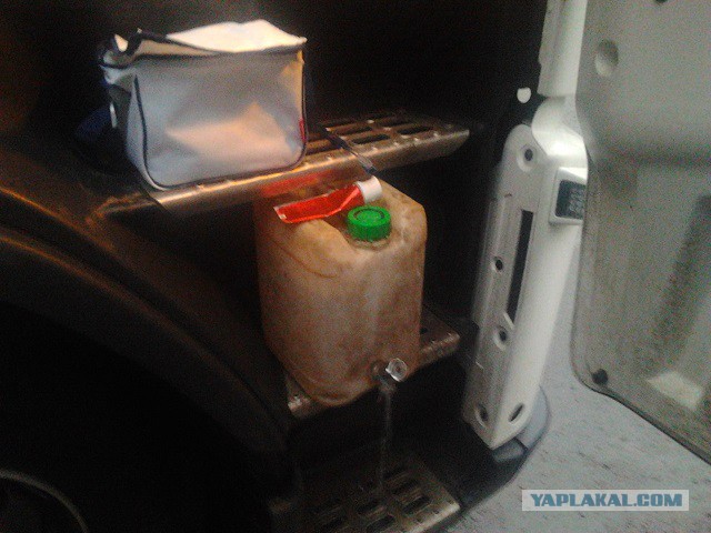 Где яблоки растут!