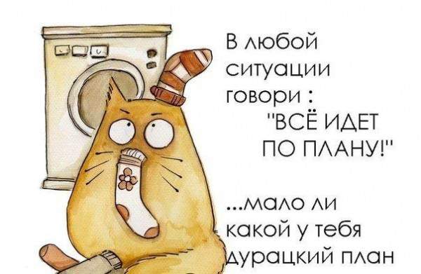 Смешные фото из сети