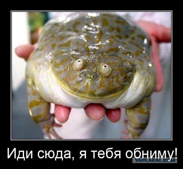 Сонный паралич. Что происходит когда мы спим видео