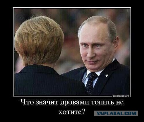 Путин пьет чай с Меркель, Укропы негодуэ