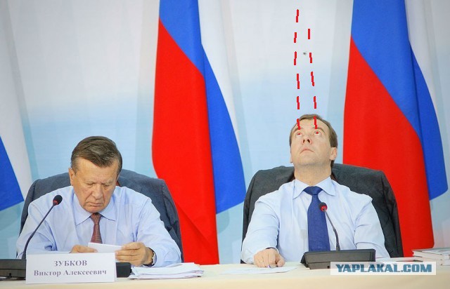 Какие нах санкции, у меня тут шмель!
