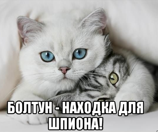 РФ использовала тактическое ядерное оружие