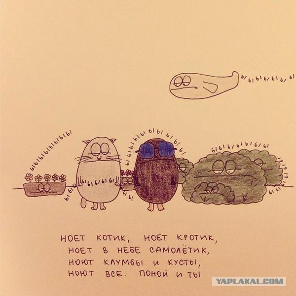 Весёлое из сети