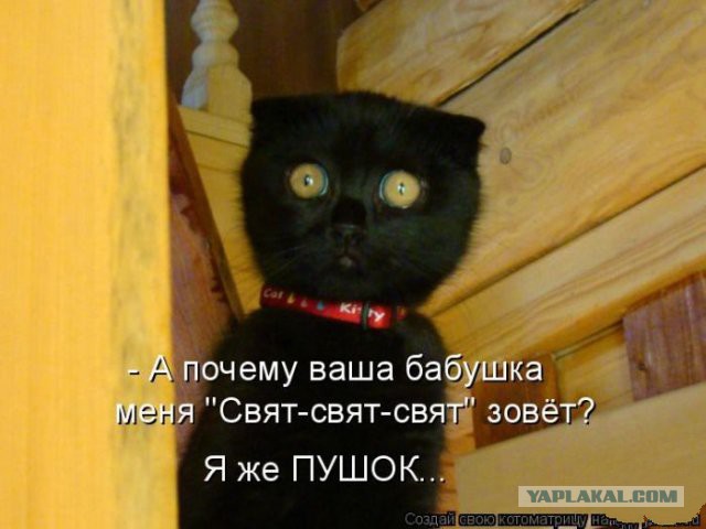 Тёща и жена колдуют и гадают на меня