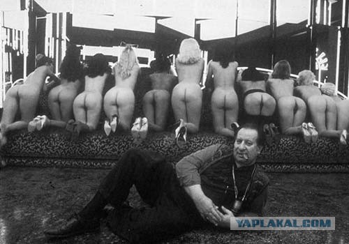 Тинто всегда Брасс!