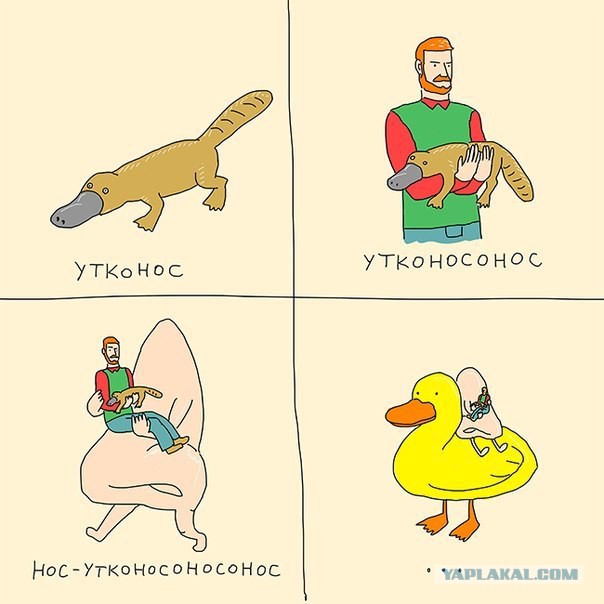 Разные картинки из сети