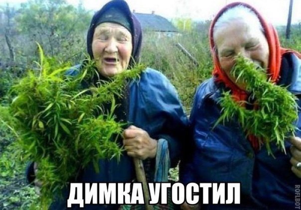 Подборка Картинок из сети
