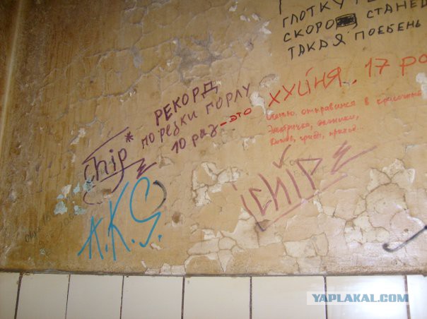 Аццкое боткино (ред. 2008)