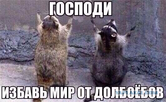 Ничего не вижу! На встречке фура! Но я иду на обгон! Я успею!