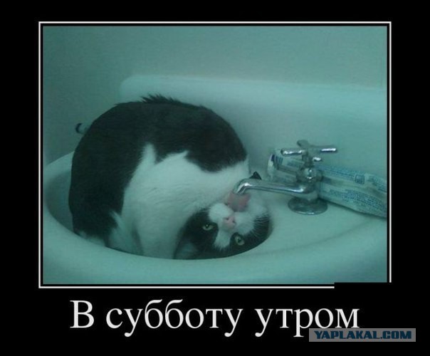 Немного картинок и демотиваторов
