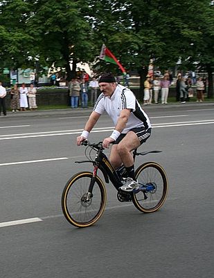 В Беларуси начали выпуск велосипедов за $1000 из березы и ясеня