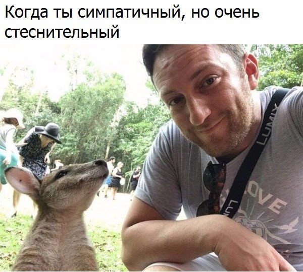 Подборка забавных животных