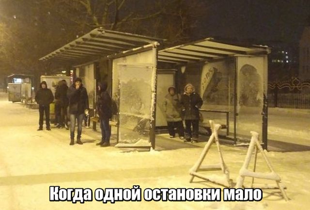 Подборка интересных и веселых картинок