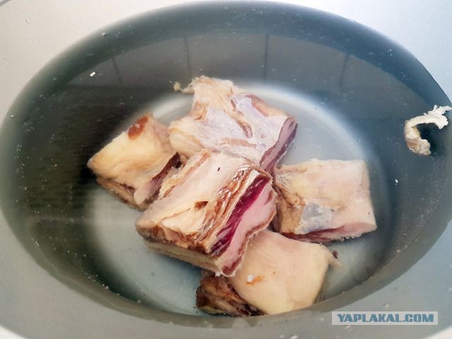 Кулинары поздравляют ЯП с днём рождения!